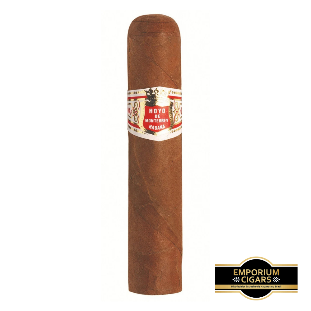 Hoyo de Monterrey Petit Robusto
