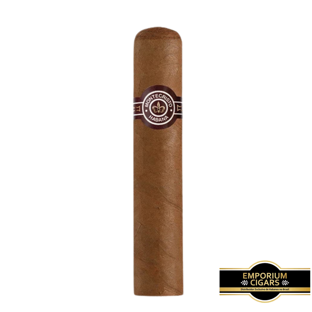 MonteCristo Edmundo